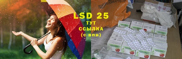 PSILOCYBIN Нея