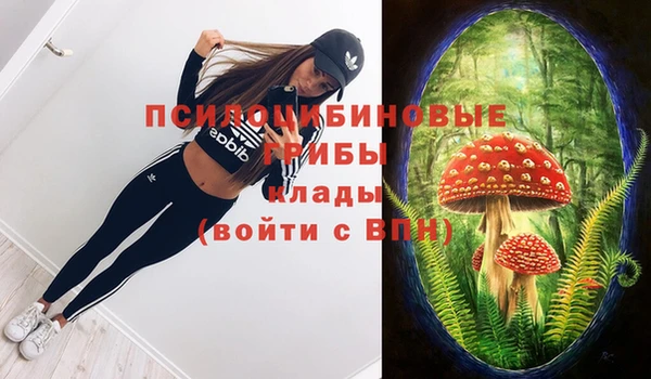 прущие грибы Нефтегорск
